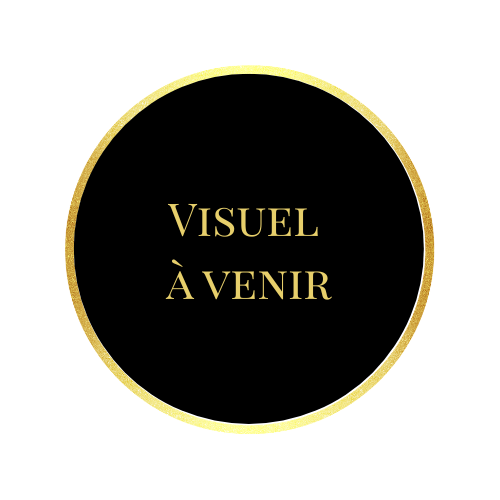 Pavlova aux fruits de saison